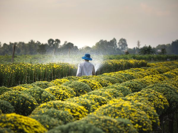 USKORO U CUK-U: DOPUNSKA IZOBRAZBA O SIGURNOM RUKOVANJU I PRAVILNOJ PRIMJENI PESTICIDA